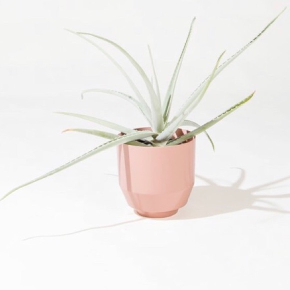 Yield 8” self-watering planter in Peach